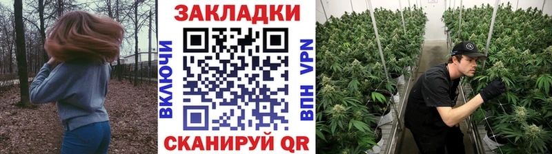 Где можно купить наркотики Гвардейск Псилоцибиновые грибы  АМФ  Alpha PVP  Мефедрон  COCAIN  Каннабис 