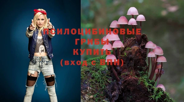 тгк Рославль